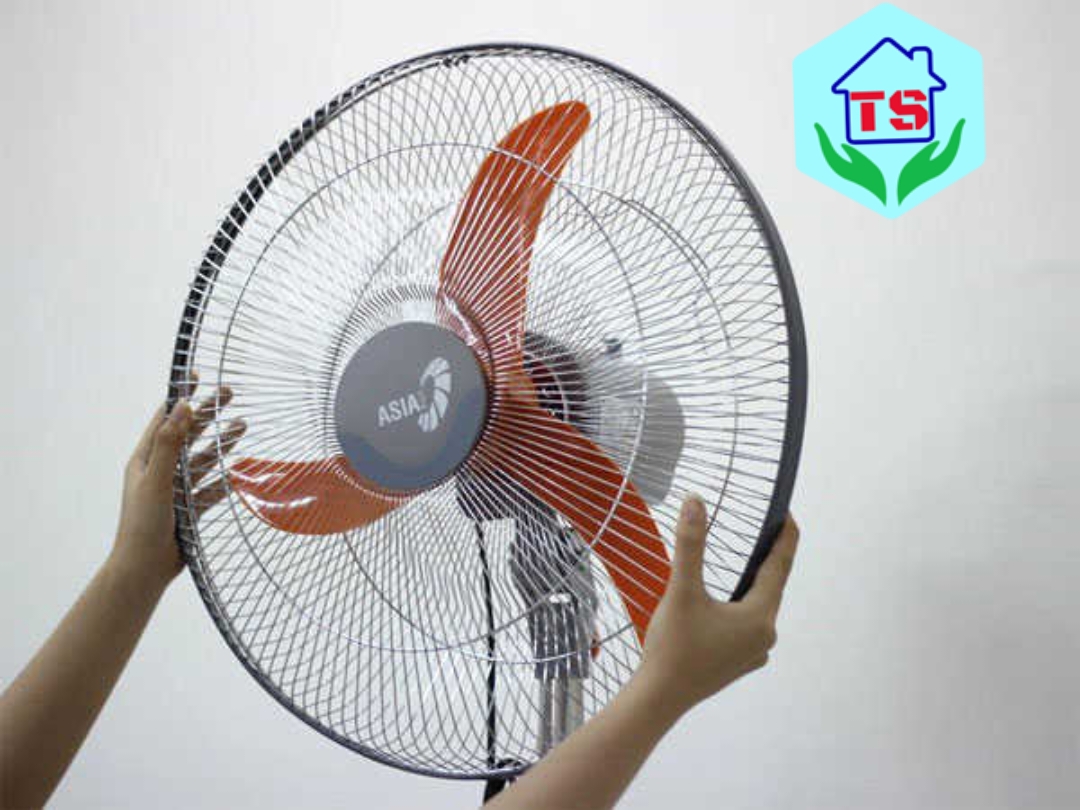 z3658044067763-8b7003f049e4bb6df4777cddc1186908-1